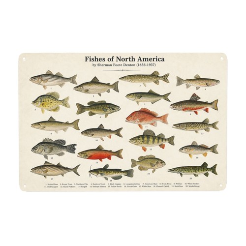 Vintage metal wall sign fishes - vintage,